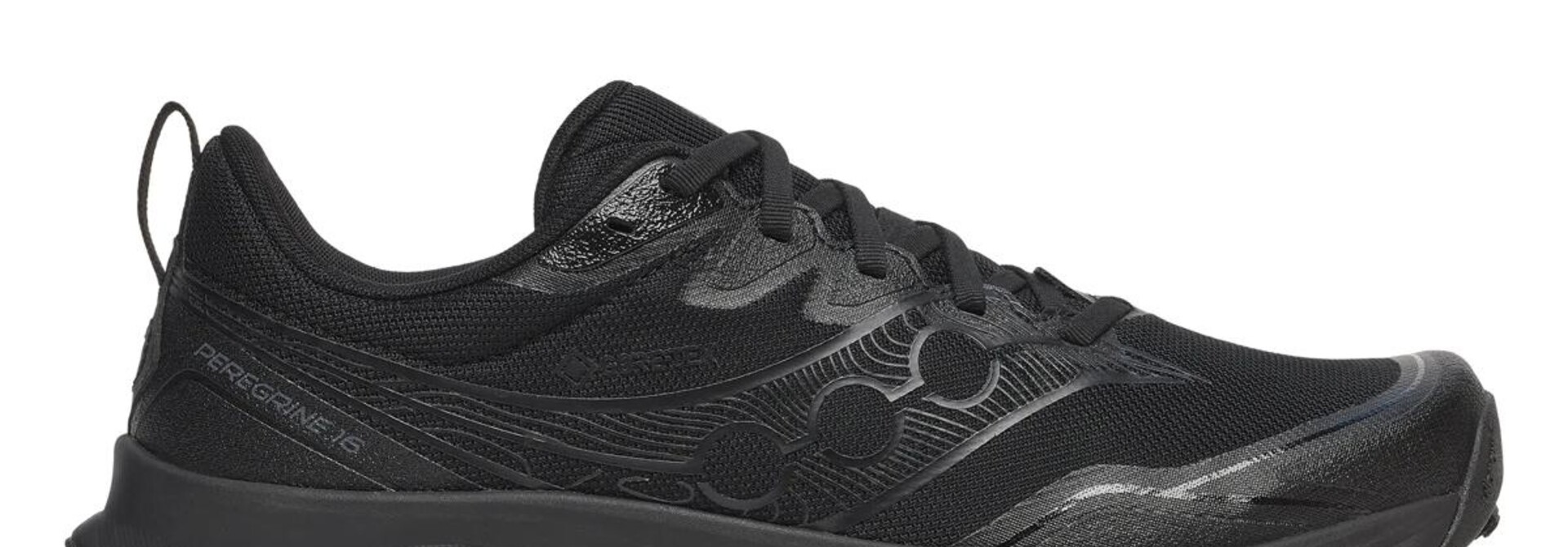 Men's Peregrine 16 GTX