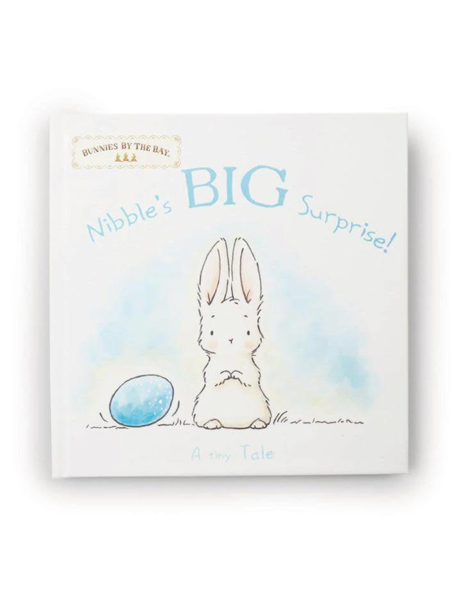 Bunnies by the Bay Nibbles BIG Surprise Board Book