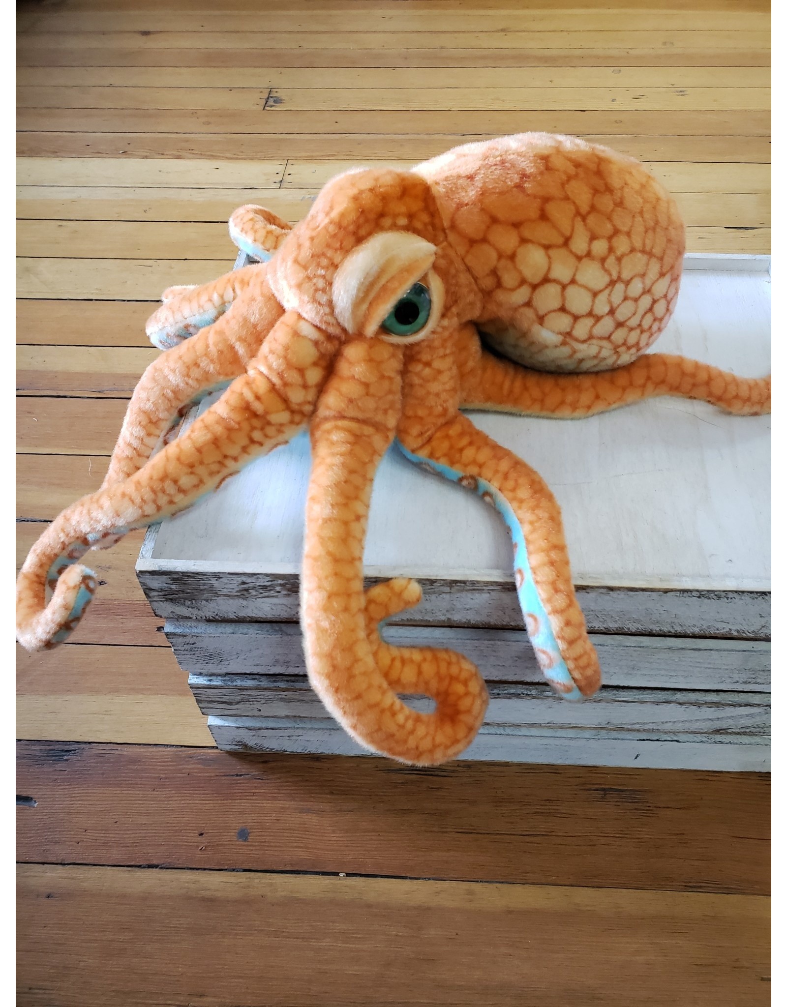 Octopus (Brown) 19"