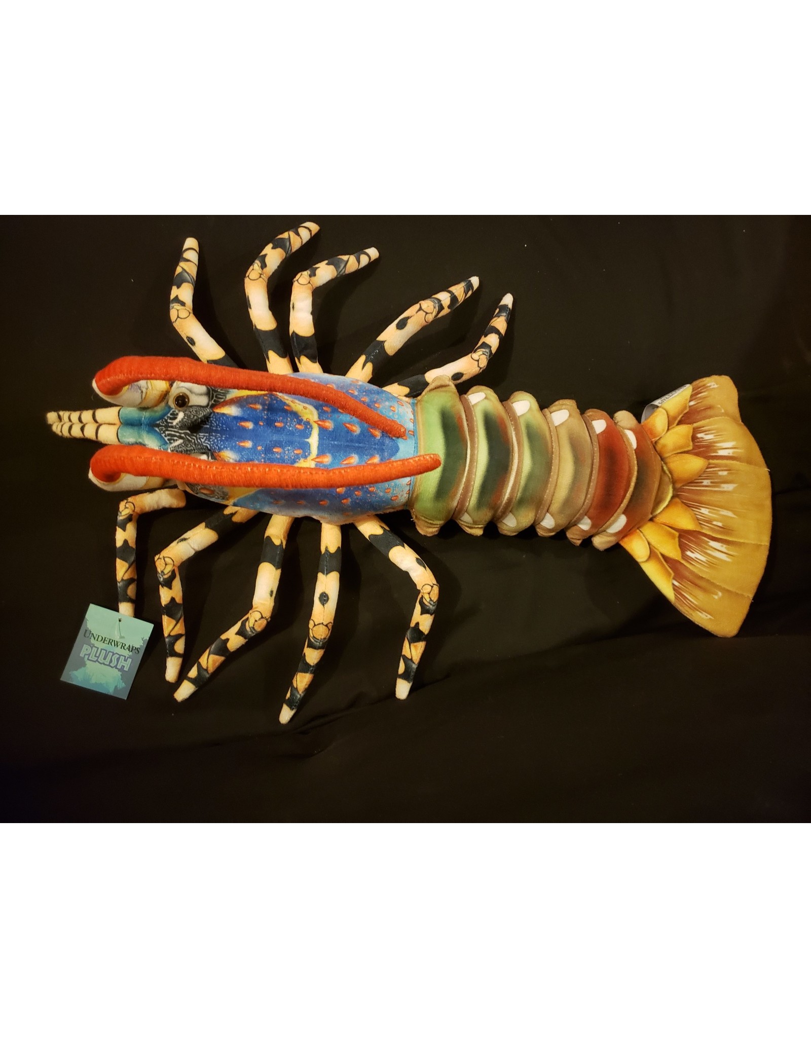 Australian Rock Lobster - Blue 24"
