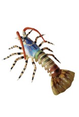 Australian Rock Lobster - Blue 24"