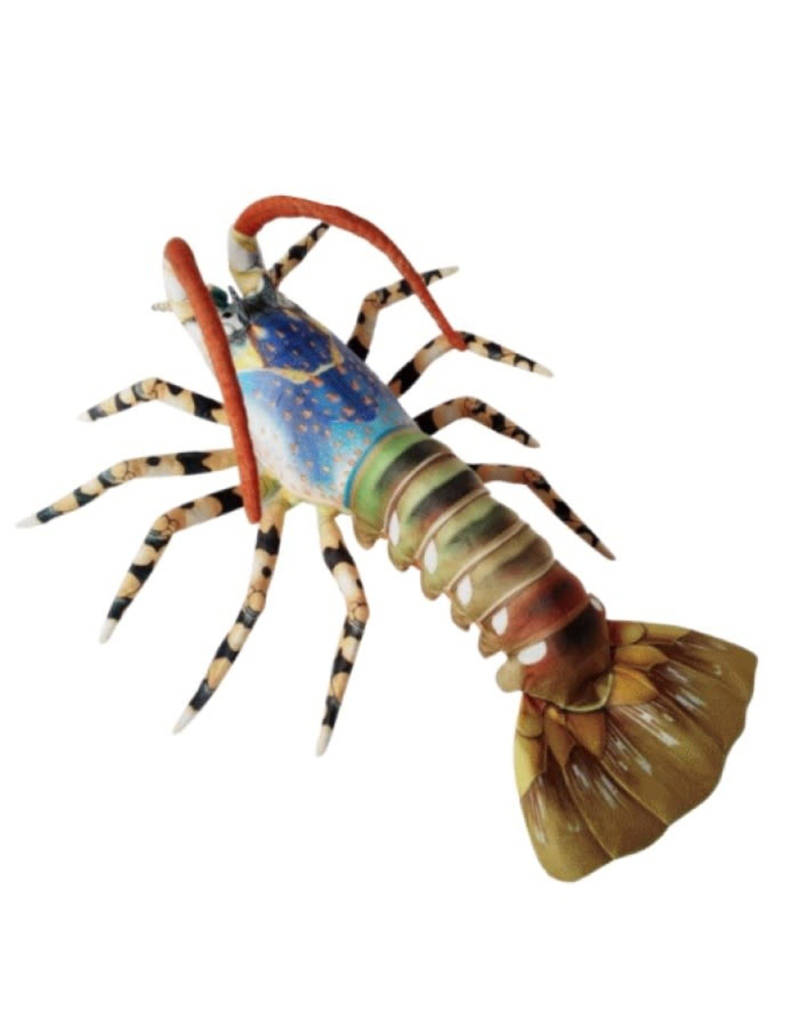 Australian Rock Lobster - Blue 24"