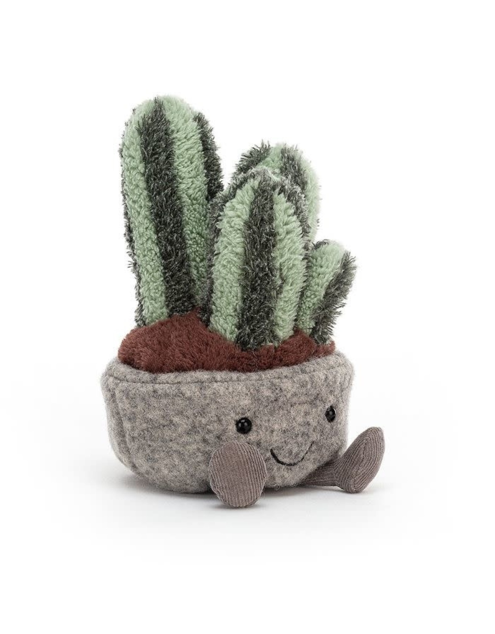 Cactus Cuties: Hilarious Names to Give Your Spiky Pets