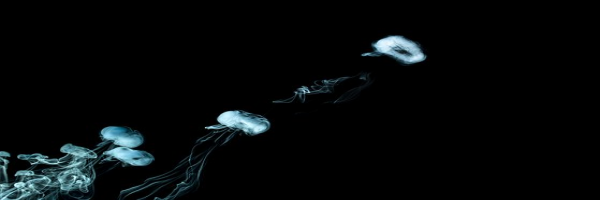 banner_right