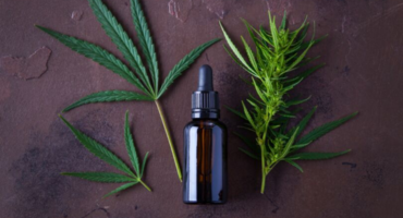 CBD Tincture Guide