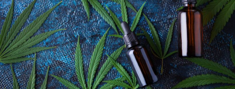 How Are CBD Tinctures Different to Cannabis