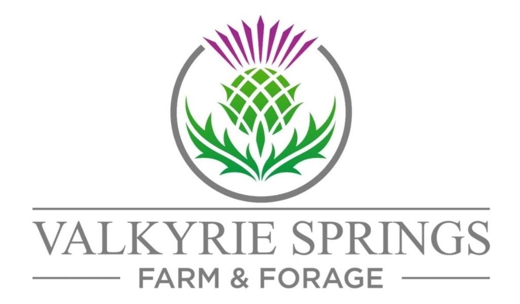 Valkyrie Springs