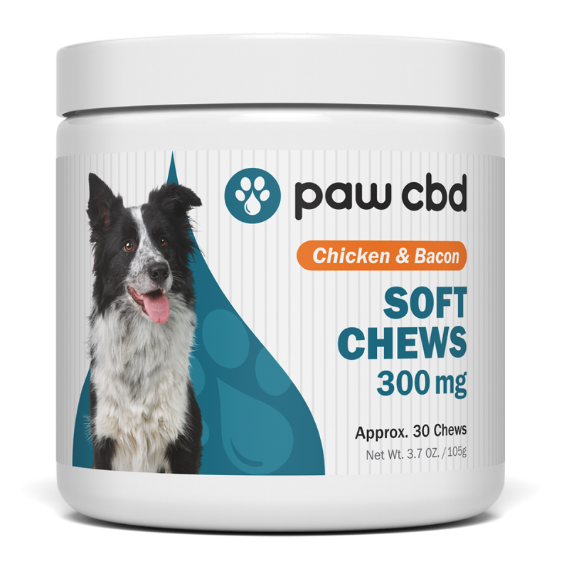 | PAW CBD SOFT CHEWS FOR DOGS | 3 STRENGTHS | - Georgetown Hemp