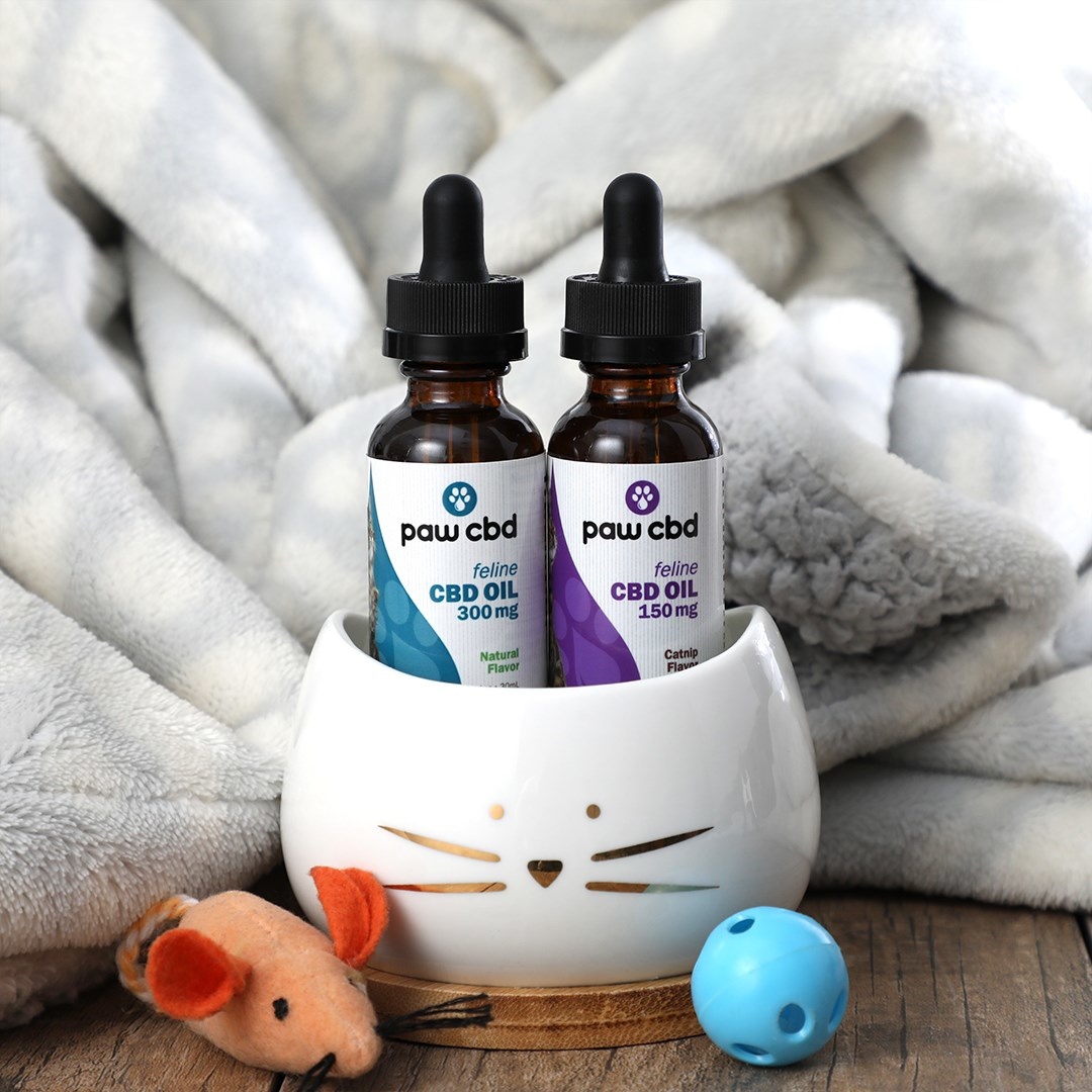 Organic Full Spectrum Hemp Oil - 250 mg CBD for Dogs & Cats - Treatibles