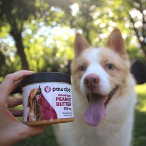 | PAW CBD PEANUT BUTTER SPREAD FOR DOGS | 3 LEVELS |