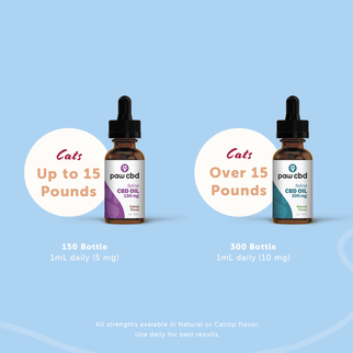 cbdMD | PAW CBD OIL FOR CATS | 2 LEVELS |