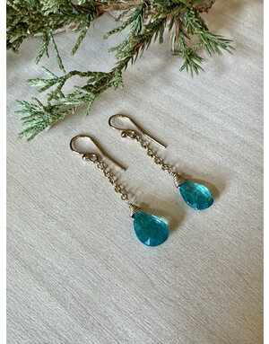 Blue Apatite Earrings GF