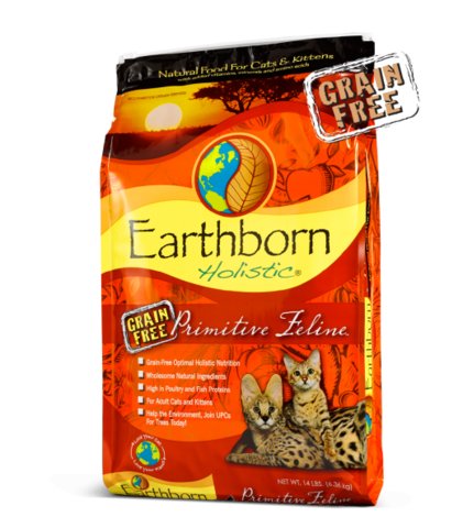homemade fish food for goldfish