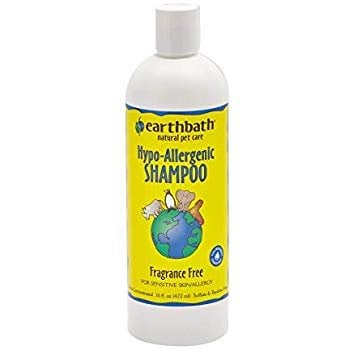 earthbath cat shampoo