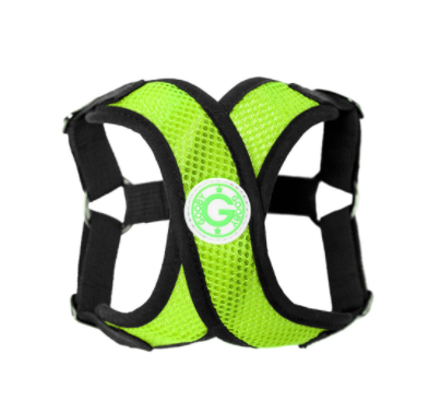 gooby step in harness