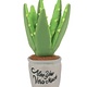 P.L.A.Y. Blooming Buddies Aloe Dog Toy