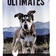 Ultimates Ultimates Puppy Chicken Meal & Brown Rice Dry Dog Food