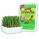 Miracle Pet Kitty Cat Grass, 150g