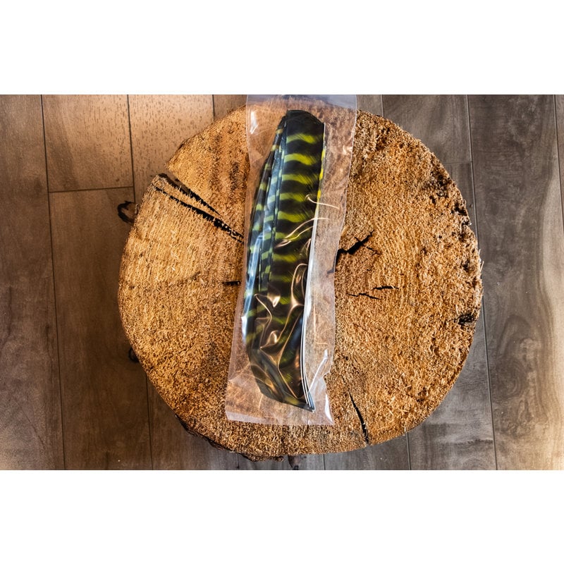 Lodgepole Outdoors Full Length Barred Turkey Feather