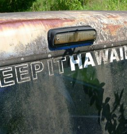 Fleetwood Keep It Hawaiian (Unique) by Mick Fleetwood