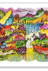 Everhart Super Fly by Tom Everhart