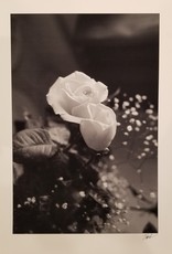 Unknown White Rose by Unknown