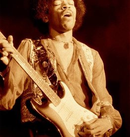 Knight Hendrix Winterland Sepia by Robert Knight