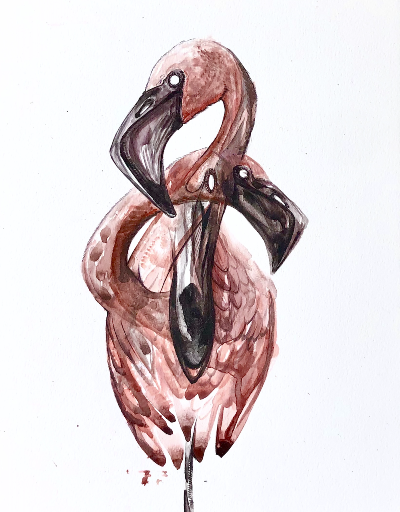 Ball Flamingo Study by Johnathan Ball (Original)