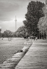 Silverman Toronto Boardwalk by Steve Silverman