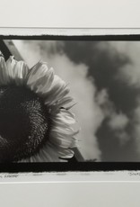 Enlow Sunflower by Ken Enlow