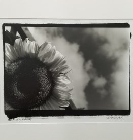 Enlow Sunflower by Ken Enlow