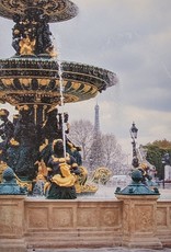Saaliste Paris Fountain by Ingrid Saaliste