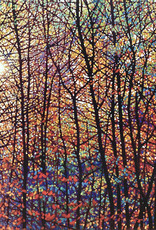 Packer Autumn Sunburst by Tim Packer