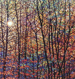 Packer Autumn Sunburst by Tim Packer