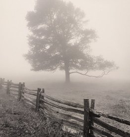 Lemke Tree Fog and Fence, Va by Bill Lemke