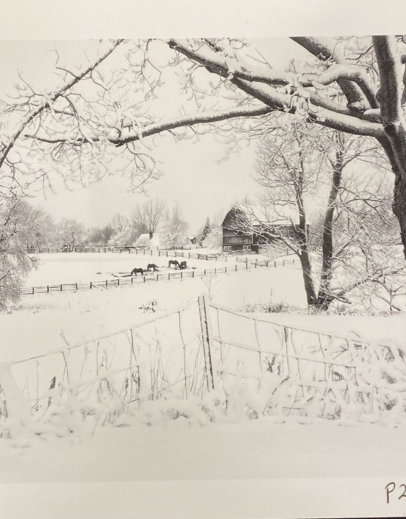 Silverman Winter Landscape I by Steve Silverman