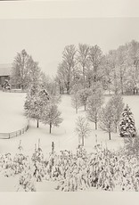 Silverman Winter Landscape II by Steve Silverman