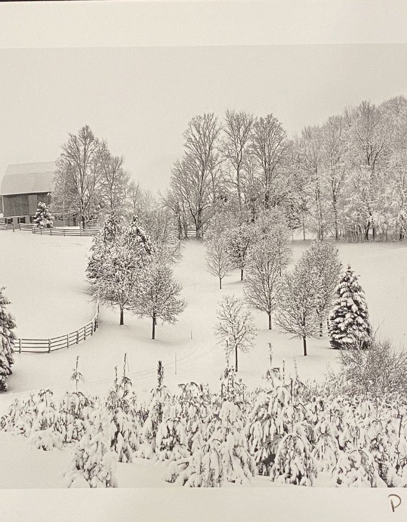 Silverman Winter Landscape II by Steve Silverman