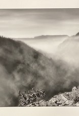 Silverman Misty Scenery by Steve Silverman