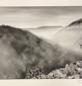 Silverman Misty Scenery by Steve Silverman
