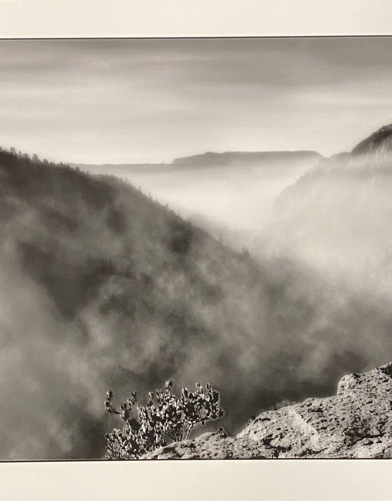 Silverman Misty Scenery by Steve Silverman