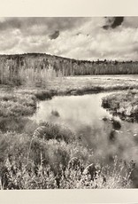 Silverman Pond Views by Steve Silverman
