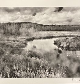 Silverman Pond Views by Steve Silverman