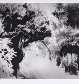 Ng The Garden of Gethsemane by Ben Ng