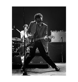 Grecco Musician Elvis Costello performs live By Michael Grecco