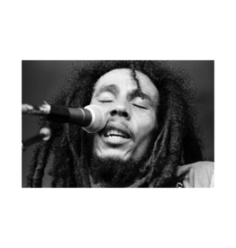 Grecco Bob Marley at Berkshire Music Glen, 1978 (III) By Michael Grecco