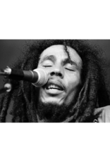 Grecco Bob Marley at Berkshire Music Glen, 1978 (III) By Michael Grecco