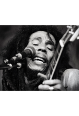 Grecco Bob Marley at Berkshire Music Glen, 1978 (II) By Michael Grecco