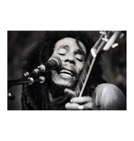 Grecco Bob Marley at Berkshire Music Glen, 1978 (II) By Michael Grecco