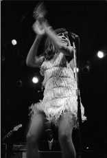 Craig Tina Turner, Los Angeles, 1969 VIII by Glen Craig